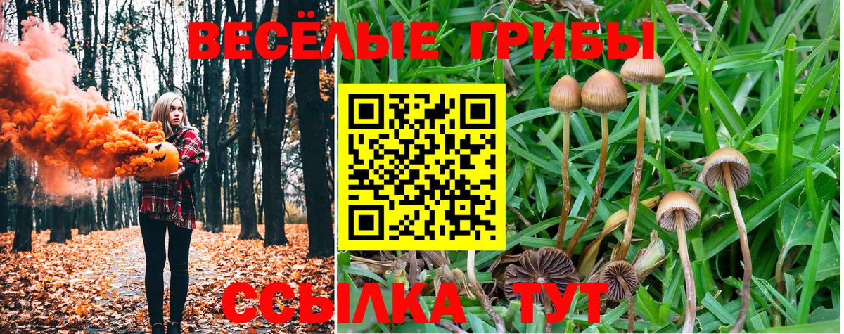 цена   Псилоцибиновые грибы MAGIC MUSHROOMS  Вход с VPN  Салехард 